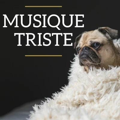 Gabriel Schwabe/布拉姆斯Musique Triste