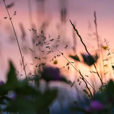 Sounds Of Nature : Thunderstorm, Rain/Meditation Rain Sounds/Sounds of Nature NoiseSleep Sounds of Nature for Healing