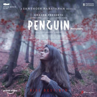 Santhosh Narayanan/Vijaynarain/Govind VasanthaPenguin (Malayalam) (Original Motion Picture Soundtrack)