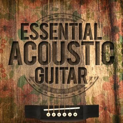 Guitar MastersEssential Acoustic Guitar