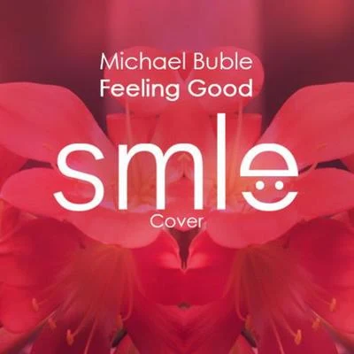 SMLEFeeling Good (SMLE Cover)