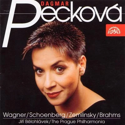 Darek Král/Dagmar PeckováSong Recital Wagner-Schoenberg-Zemlinsky-Brahms