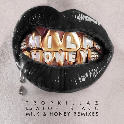 Aloe BlaccMilk & Honey (Remixes)