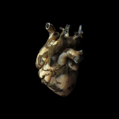 HighasaKiteUranium Heart