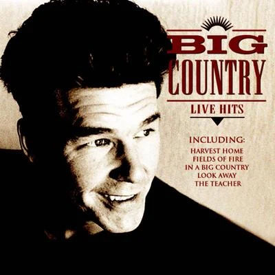 Big Country/The FixxLive Hits