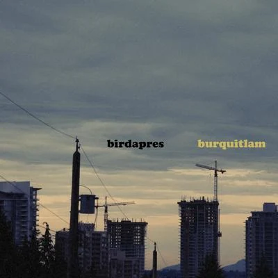 BirdapresBurquitlam