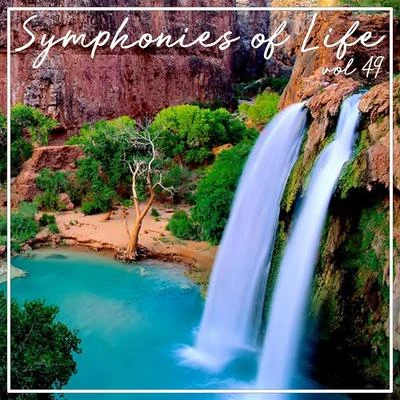 NicholsonSymphonies of Life, Vol. 49 - Scarlatti: Piano Sonatas