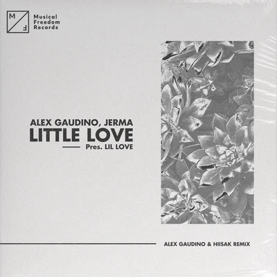 HiisakNari & MilaniLittle Love (pres. Lil Love) [Alex Gaudino & Hiisak Remix]