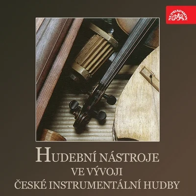 E. DoležalováHudební Nástroje Ve Vývoji České Instrumentální Hudby