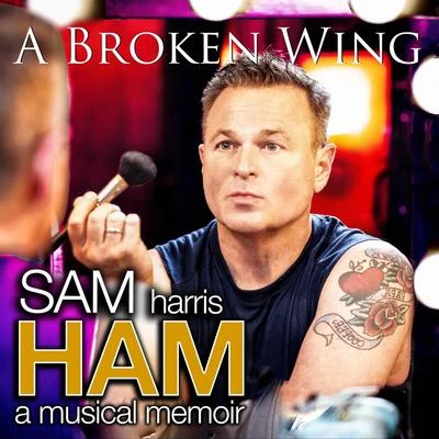 Sam HarrisA Broken Wing