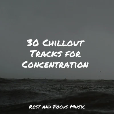 Entspannungsmusik Meer30 Chillout Tracks for Concentration