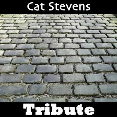 AMROMystiqueWild World: Tribute To Cat Stevens