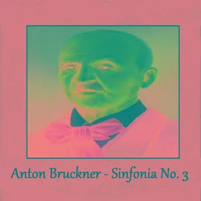 John Ireland/Neil Taylor/Anton Bruckner/Simon Johnson/Ron Gates/Roger Palmer/the choir so fall saints churchAnton Bruckner - Sinfonia No. 3