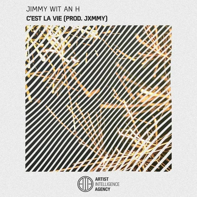 Jimmy Wit An HCest La Vie - Single