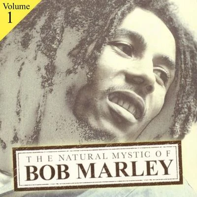 J.C. Johnson/Bob Marley/Victor Young/Larry Clinton/Wilbur Sweatman/Dizzy Gillespie/Andy Razaf/Benny Goodman/Fred E. Ahlert/Irving MillsThe Natural Mystic Of Bob Marley Volume 1