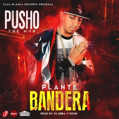 Juno “The Hitmaker”/PushoPlante Bandera