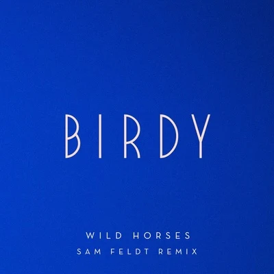 BIRDYWild Horses (Sam Feldt Remix)