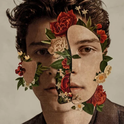 Shawn MendesZeddShawn Mendes (Deluxe)