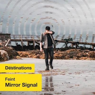 FeintMirror signal