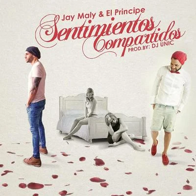 Stephanie Acevedo/Jay MalySentimientos Compartidos (feat. El Principe)