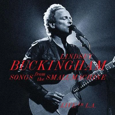 Lindsey BuckinghamSongs From The Small Machine - Live In L.A.