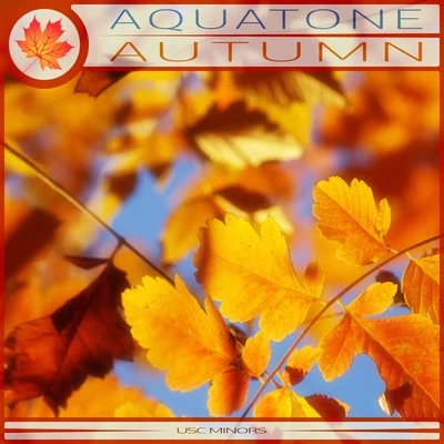 Magnosis/AquatoneAutumn (Radio Edit)