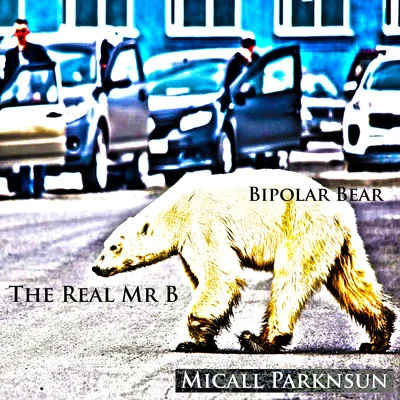 Micall Parknsun/The Real Mr BBipolar Bear