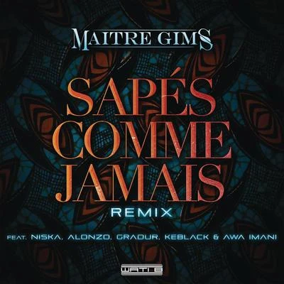 Maître GimsSapés comme jamais (Remix)