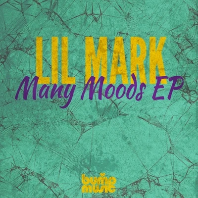 Lil MarkMatt TolfreyMany Moods EP Vol 2