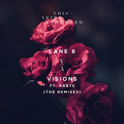 Lane 8/AnderholmVisions (The Remixes)