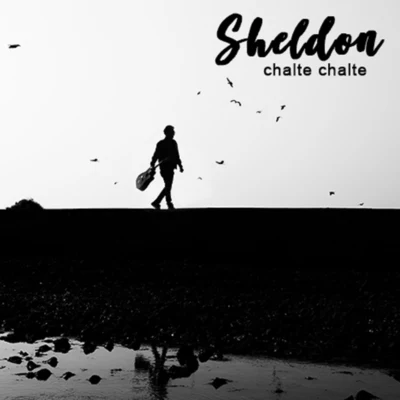 Sheldon/Deeboaz/OC/DJ Juicy.gh/MickiNaj/Kwame Anthem/Kayo Marbilus/DAtopaChalte Chalte - Single