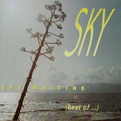 SkySky Writing:best of sky