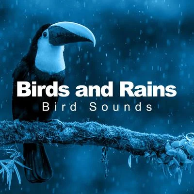 Bird SoundsBirds and Rains