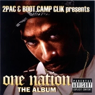 2Pac/TLC/Pete Rock/Mista Grimm/Usher/The Dogg Pound/Stevie Wonder/Chaka Demus & Pliers/C.L. Smooth/Terri & MonicaOne Nation: The Album