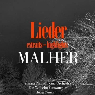 Wilhelm Furtwängler/Thomas Quasthoff/Anne Sofie von Otter/Elizabeth Schwarzkopf/Jean-Philippe Lafont/Bernard Haitink/Franz Vroons/Elizabeth Shwarzkopf/Hans Hooter/Jaco HuijpenMalher : Lieder