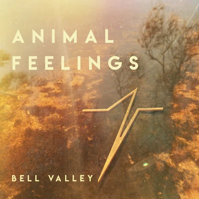 Animal Feelings/Fancy Feelings/Fancy ColorsBell Valley