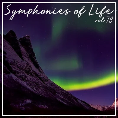 Barbara Schlick/Bogna Bartosz/Christoph Prégardien/Deborah York/Klaus Mertens/Kai WesselSymphonies of Life, Vol. 78 - Bach: Musik Der Bach Familie