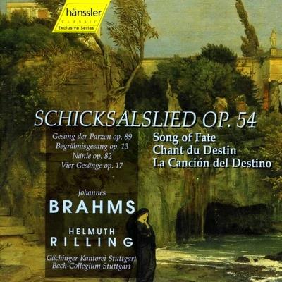 Bach-Collegium Stuttgart/Gächinger Kantorei/Unknown Artist/Helmuth RillingBrahms: Choral Works