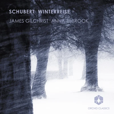 James Gilchrist/Ashley Riches/Mark Stone/Gerald Finley/Simon Lepper/Michael Chance/Lawrence Zazzo/Andrew StaplesSCHUBERT, F.: Winterreise (Gilchrist, Tilbrook)