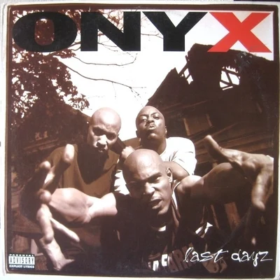 onyxLast Dayz