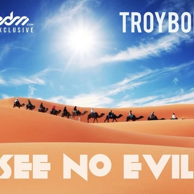 TroyBoi/FlosstradamusSee No Evil