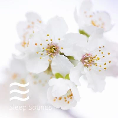 Sleep Sounds Ambient Noises/White Noise/Baby Sleep SpotDrowsy Melodies of Brown Noise and White Noise for Excellent Sleep All Night