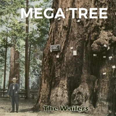 The WailersMega Tree