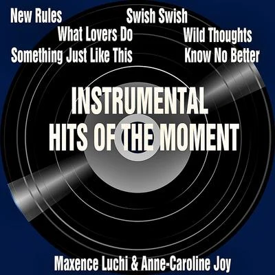 Maxence LuchiInstrumental Hits Of The Moments