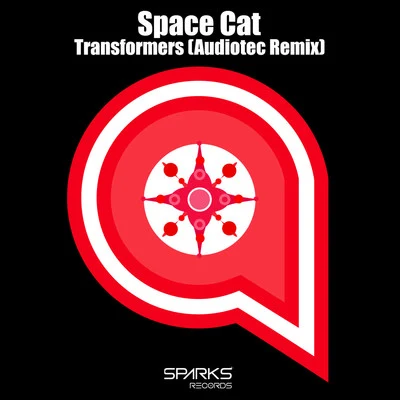 Space CatTransformers