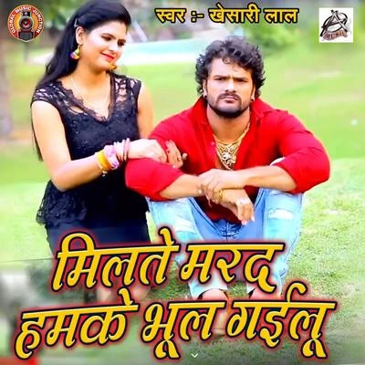 Priyanka Singh/Alok Singh/Dhananjay Mishra/Rini ChandraMilte Marad Humke Bhool Gayilu - Single