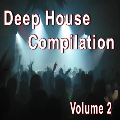 Sean House50 Dance Music Instrumentals, Vol. 2