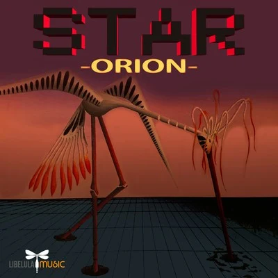 StarOrion