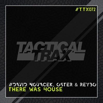 David Novacek/Black Legend Project/Chris Marina/Discoplex/Sonick S/Ramon Castells/Demuir/Dj Eric DD/Rubix/Jon AnthoniThere Was House