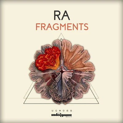 Ra/Shakta/MFG/Oforia/Xenomorph/Roy Sasson/Battle of the Future BuddhasFragments